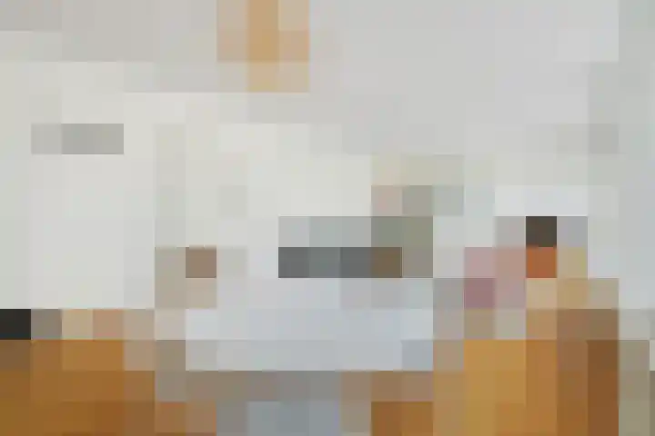 Graaf Hendrik III laan 127 B Breda thumbnail 18