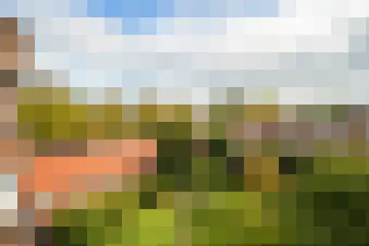Graaf Hendrik III laan 127 B Breda thumbnail 22