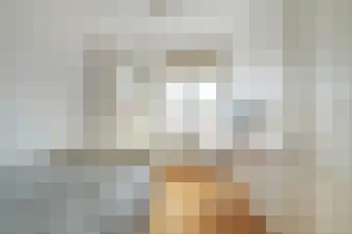 Graaf Hendrik III laan 127 B Breda thumbnail 4