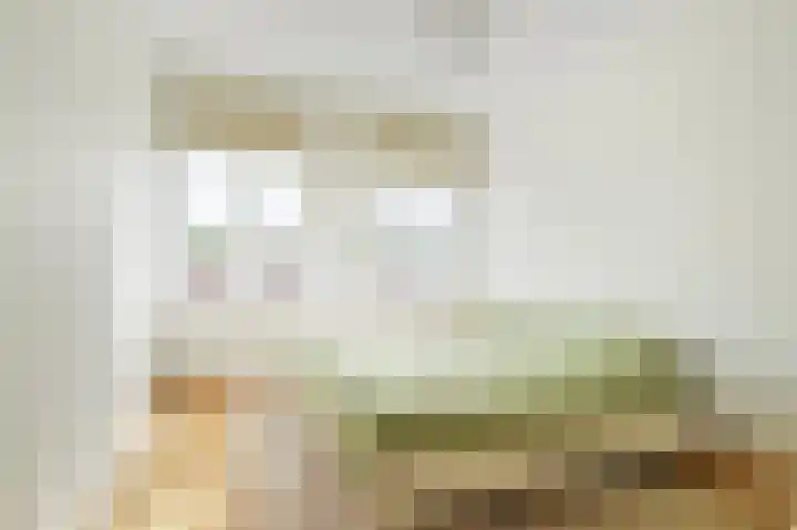 Graaf Hendrik III laan 127 B Breda thumbnail 6