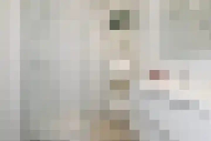 Graaf Hendrik III laan 127 B Breda thumbnail 7