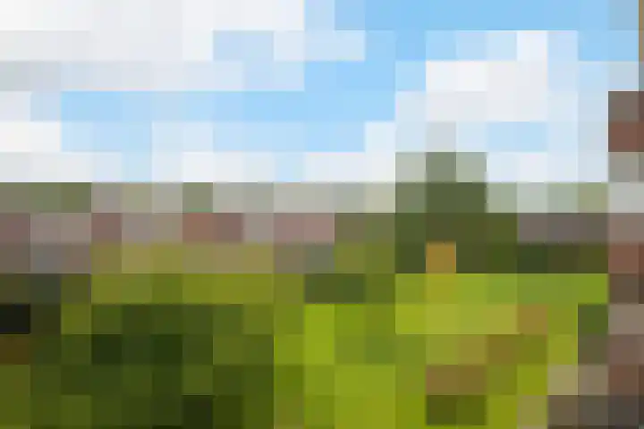 Graaf Hendrik III laan 127 B Breda thumbnail 8