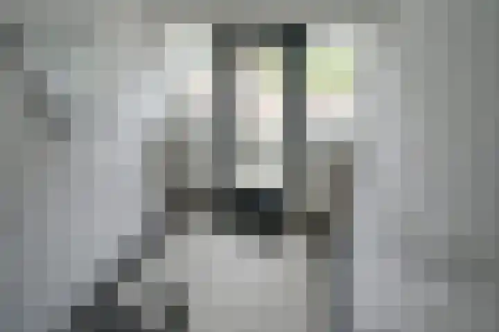 Graaf Hendrik III laan 127 C Breda thumbnail 10