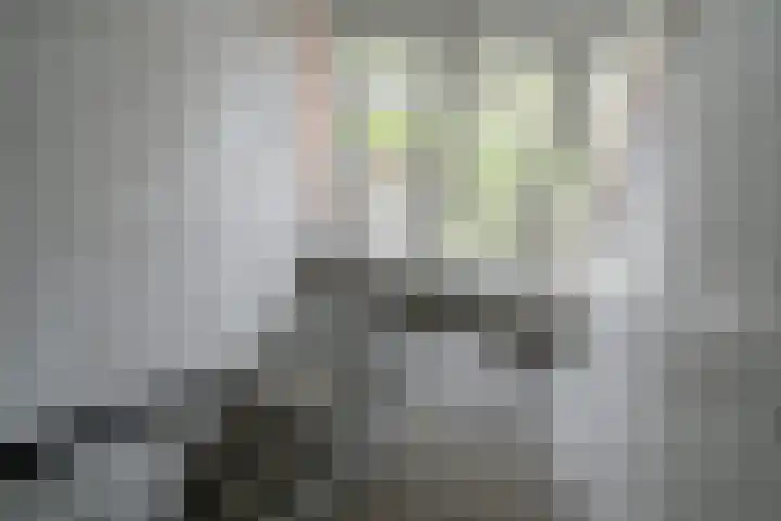 Graaf Hendrik III laan 127 C Breda thumbnail 11