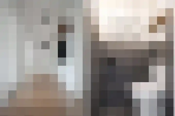 Graaf Hendrik III laan 127 C Breda thumbnail 14