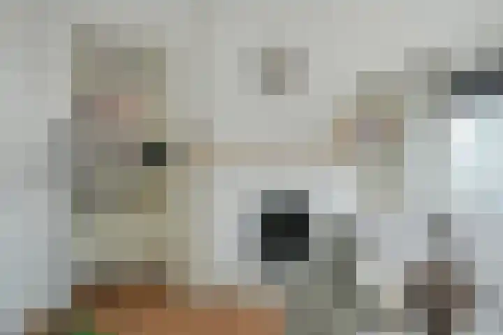 Graaf Hendrik III laan 127 C Breda thumbnail 20