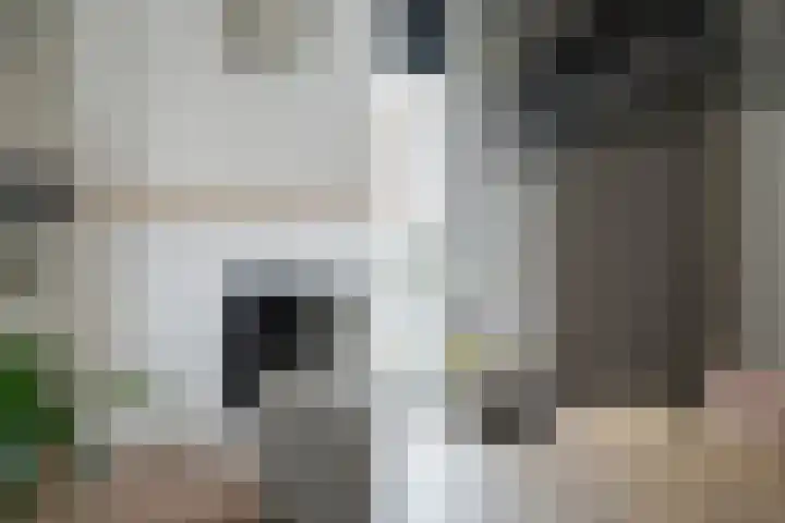 Graaf Hendrik III laan 127 C Breda thumbnail 26