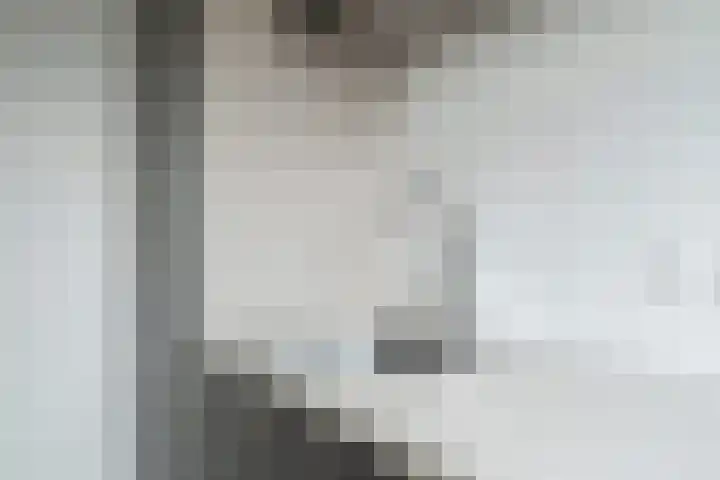 Graaf Hendrik III laan 127 C Breda thumbnail 32