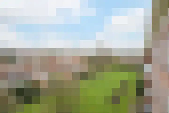 Graaf Hendrik III laan 127 C Breda thumbnail 36