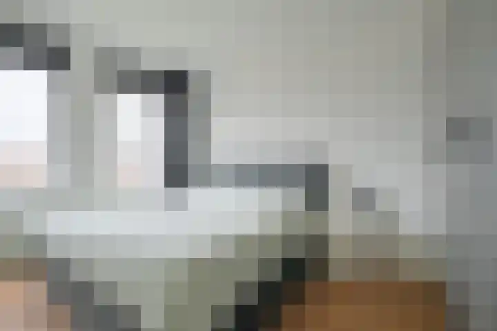 Graaf Hendrik III laan 127 C Breda thumbnail 38