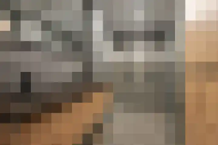Graaf Hendrik III laan 127 C Breda thumbnail 5