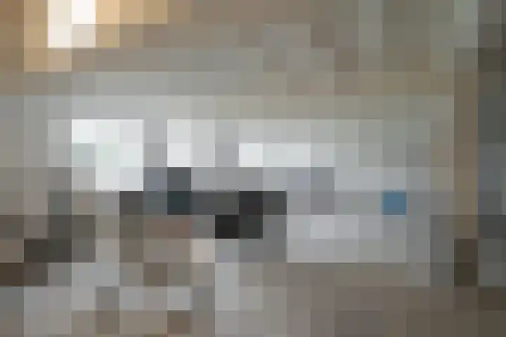 Graaf Hendrik III laan 127 C Breda thumbnail 50