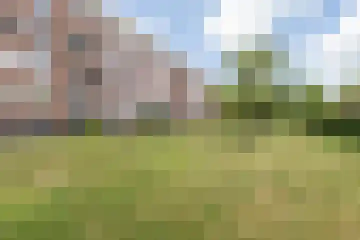 Graaf Hendrik III laan 131 A Breda thumbnail 37