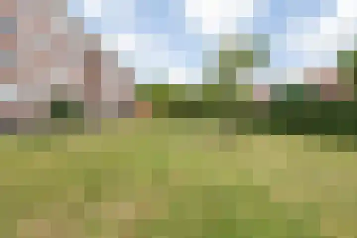 Graaf Hendrik III laan 131 A Breda thumbnail 38