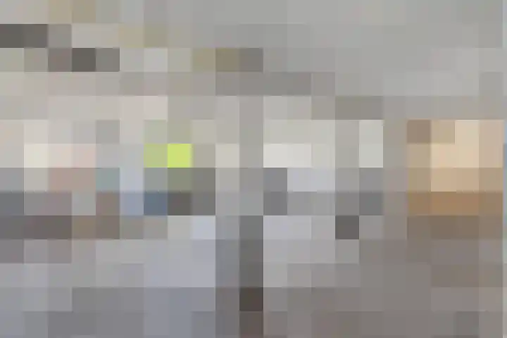 Graaf Hendrik III laan 131 A Breda thumbnail 39