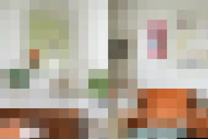 Graaf Hendrik III laan 131 B Breda thumbnail 18