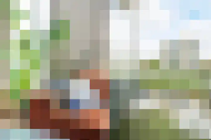 Graaf Hendrik III laan 131 B Breda thumbnail 19
