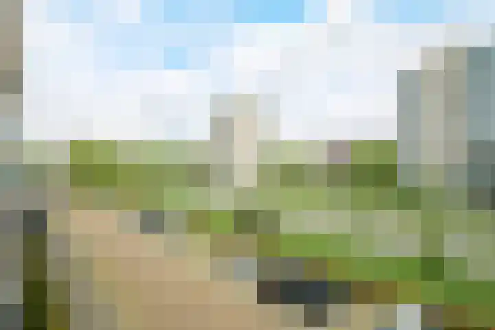 Graaf Hendrik III laan 131 B Breda thumbnail 20