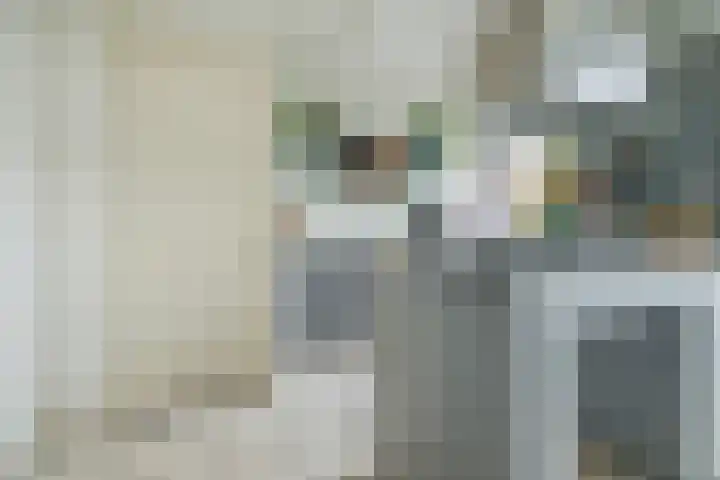 Graaf Hendrik III laan 131 B Breda thumbnail 29