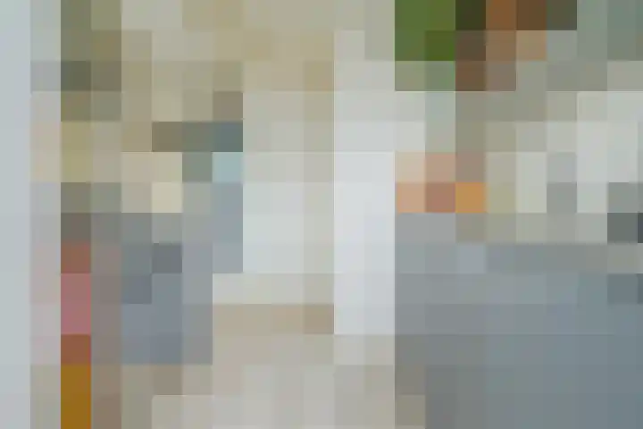 Graaf Hendrik III laan 131 B Breda thumbnail 31