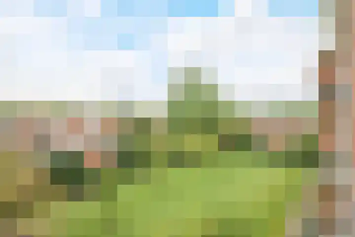 Graaf Hendrik III laan 131 B Breda thumbnail 33