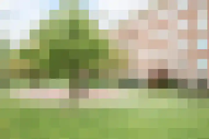 Graaf Hendrik III laan 131 B Breda thumbnail 44