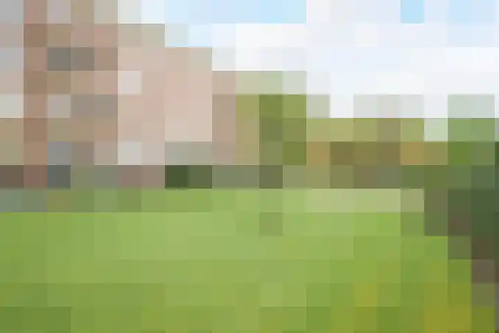 Graaf Hendrik III laan 131 B Breda thumbnail 45