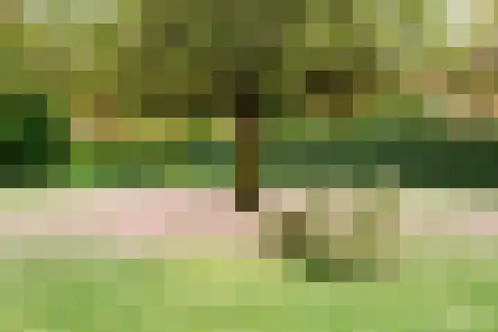Graaf Hendrik III laan 131 B Breda thumbnail 47