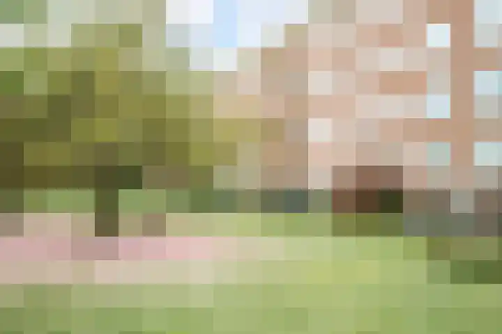 Graaf Hendrik III laan 131 B Breda thumbnail 48