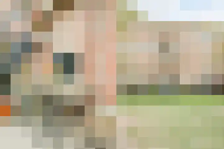 Graaf Hendrik III laan 131 B Breda thumbnail 49