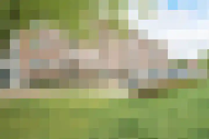 Graaf Hendrik III laan 131 B Breda thumbnail 52