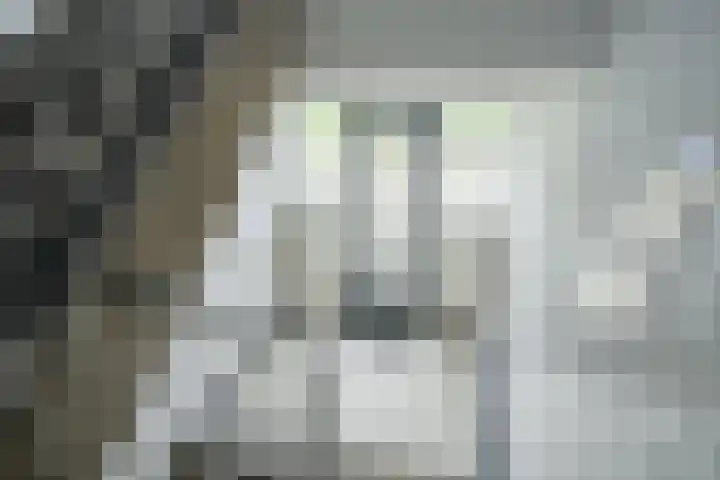 Graaf Hendrik III laan 131 B Breda thumbnail 9