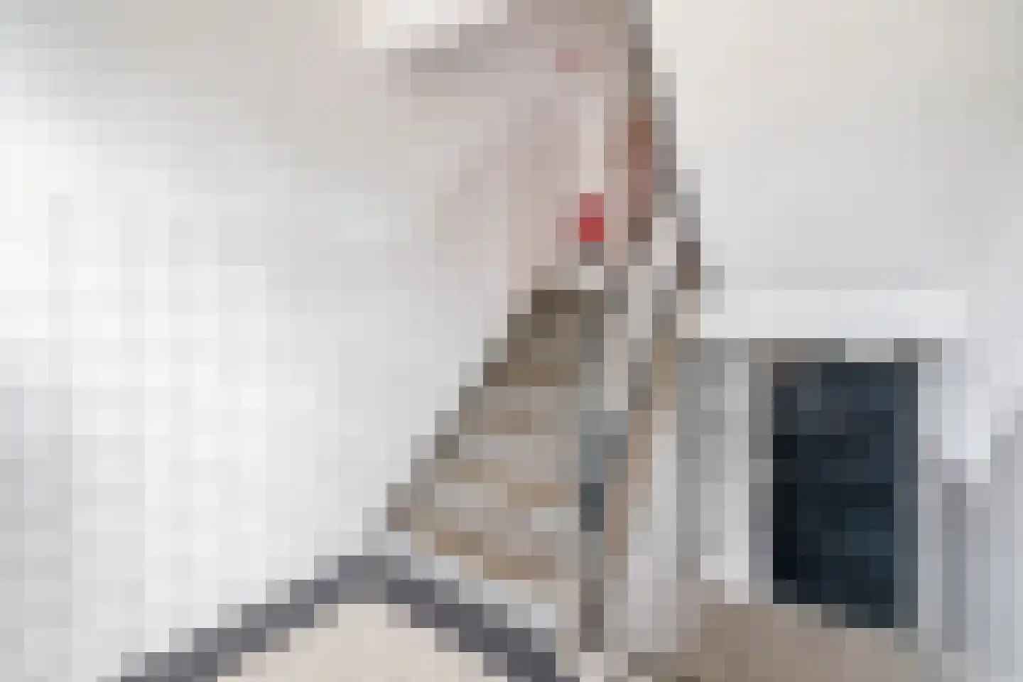 Graaf Hendrik III laan 131 Breda thumbnail 7