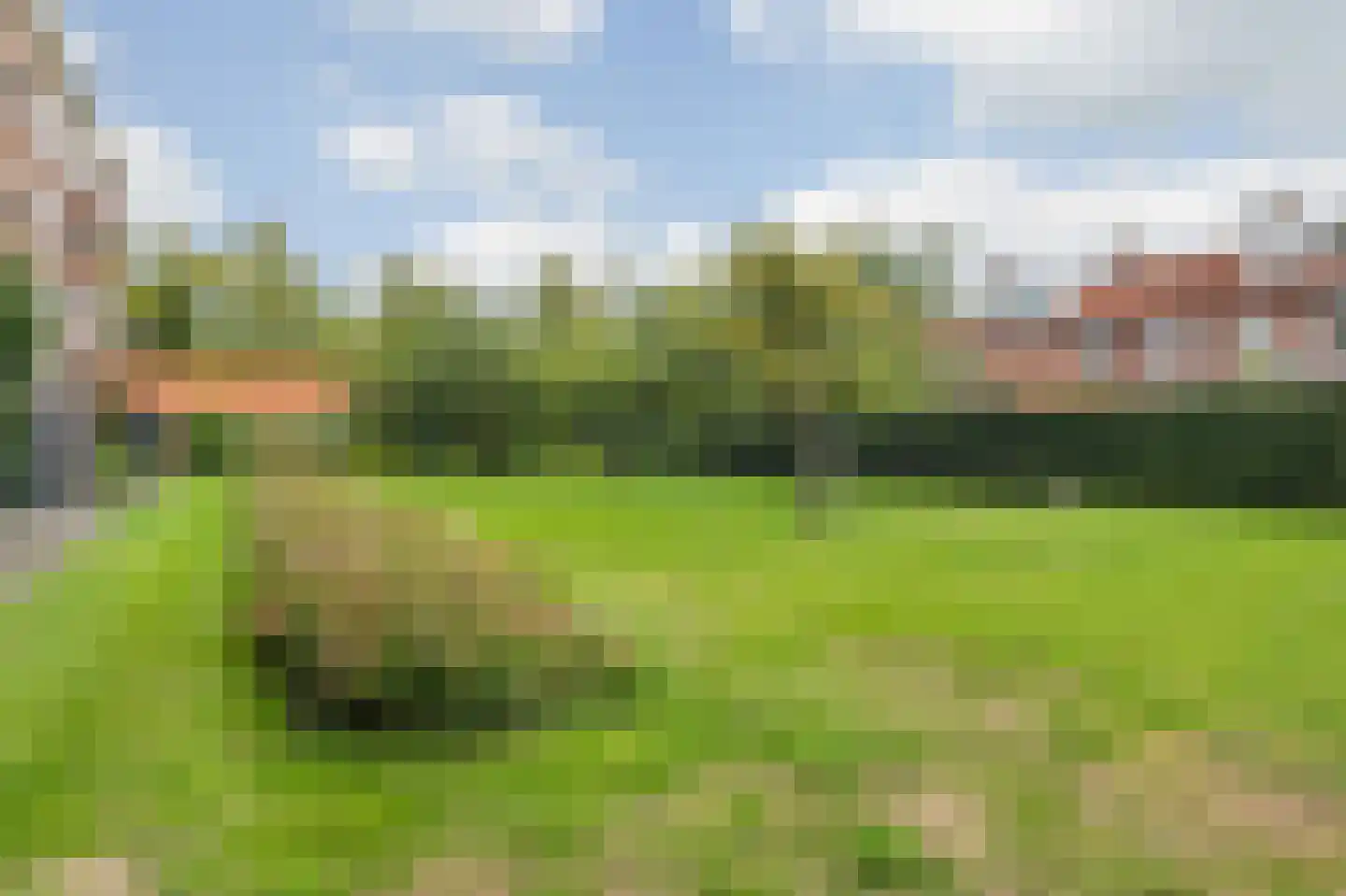 Graaf Hendrik III laan 139 B Breda thumbnail 35