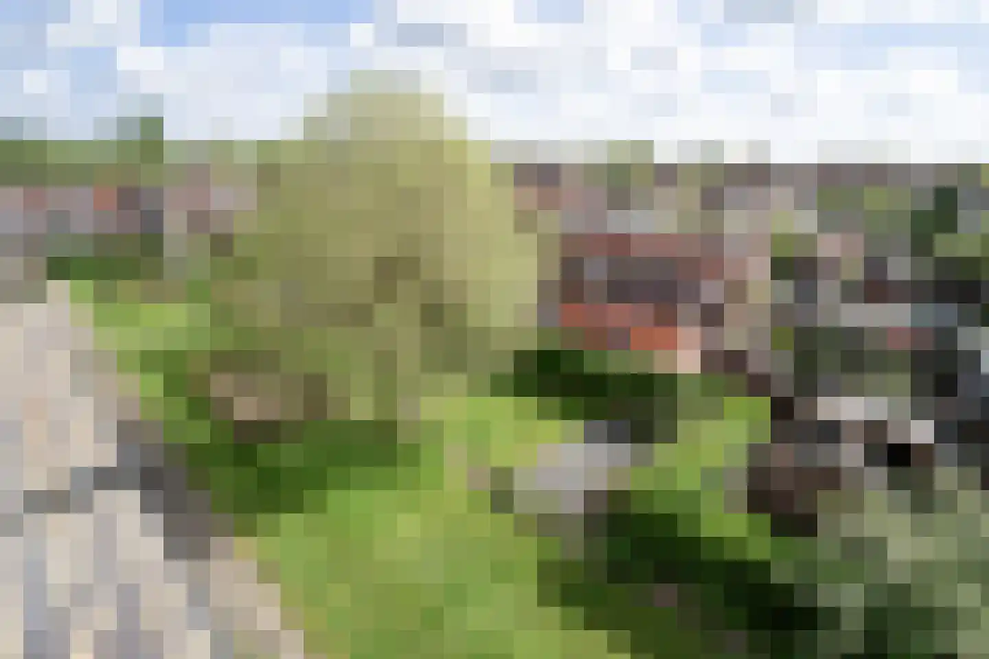 Graaf Hendrik III laan 169 C Breda thumbnail 15