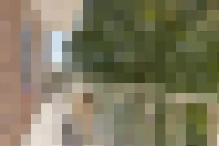 Graaf Hendrik III laan 65 B Breda thumbnail 33