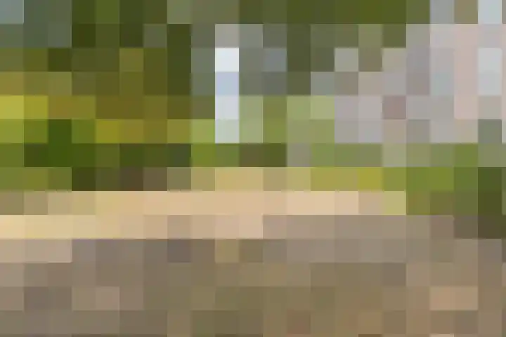 Graaf Hendrik III laan 65 B Breda thumbnail 35