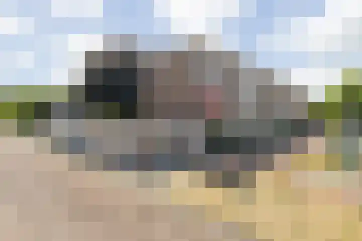 Graaf Hendrik III laan 65 B Breda thumbnail 38