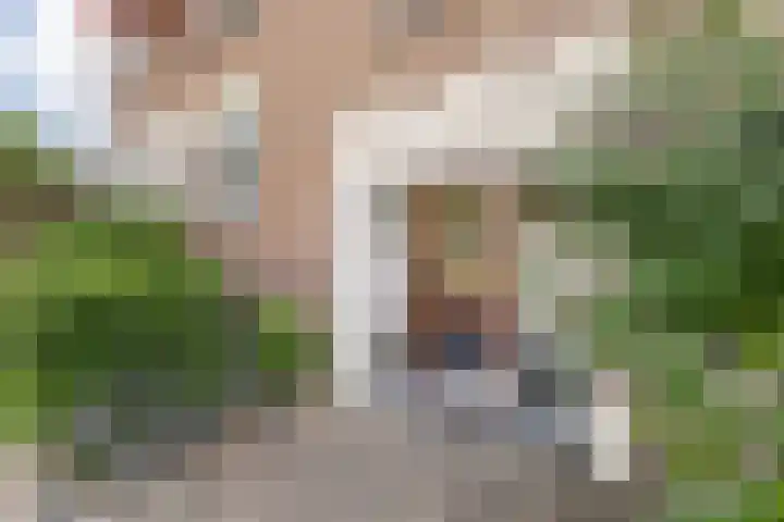 Graaf Hendrik III laan 65 B Breda thumbnail 39