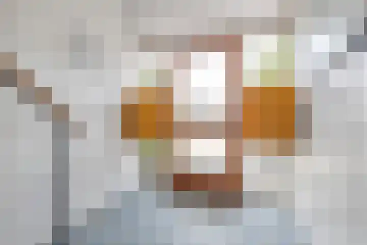 Graaf Hendrik III laan 65 B Breda thumbnail 40