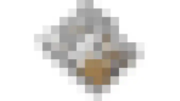 Graaf Hendrik III laan 65 B Breda thumbnail 43