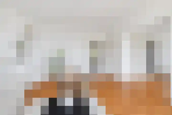 Graaf Hendrik III laan 65 B Breda thumbnail 8