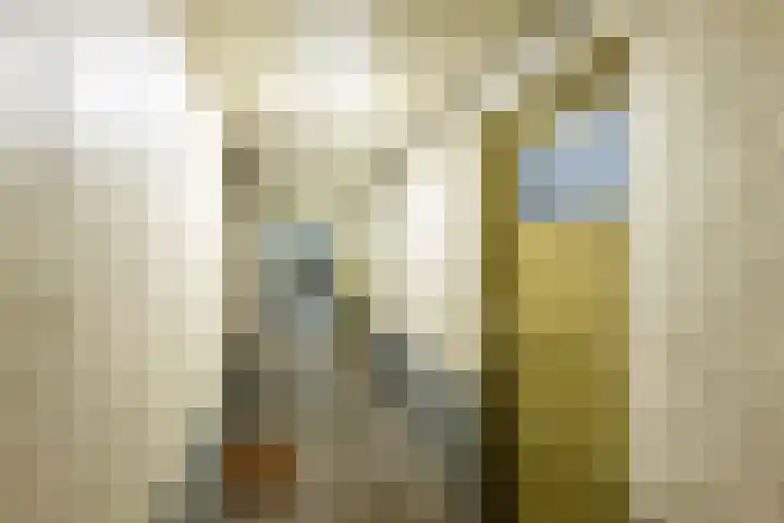 Graaf Hendrik III laan 67 A Breda thumbnail 35