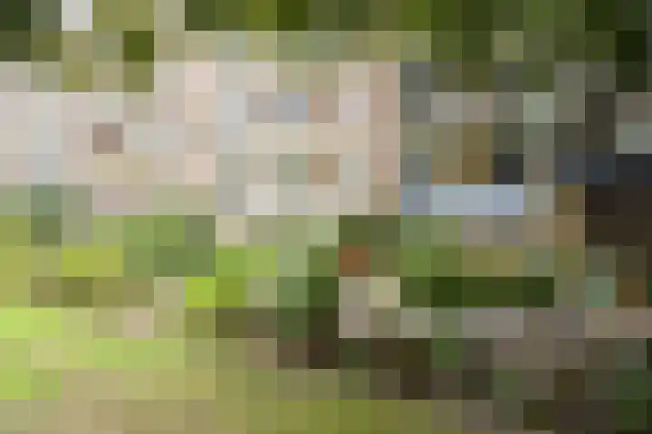 Graaf Hendrik III laan 67 A Breda thumbnail 37