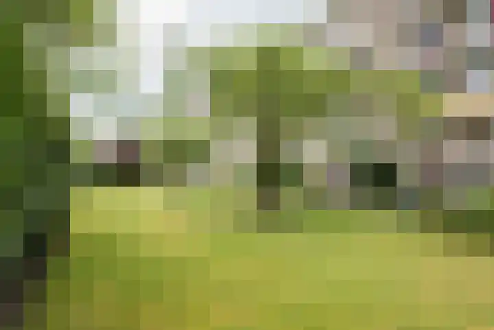 Graaf Hendrik III laan 67 A Breda thumbnail 38