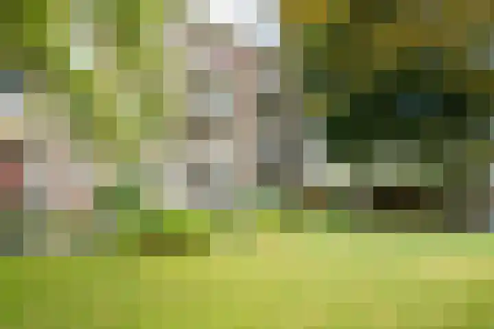 Graaf Hendrik III laan 67 A Breda thumbnail 39