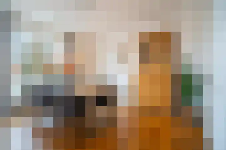 Graaf Hendrik III laan 67 Breda thumbnail 11