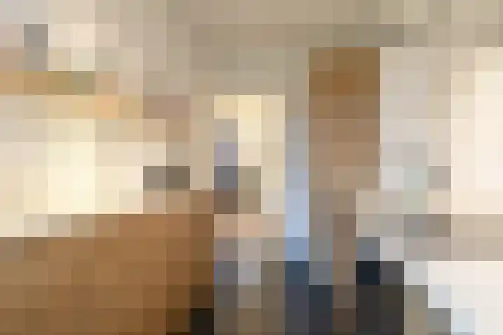Graaf Hendrik III laan 67 Breda thumbnail 14