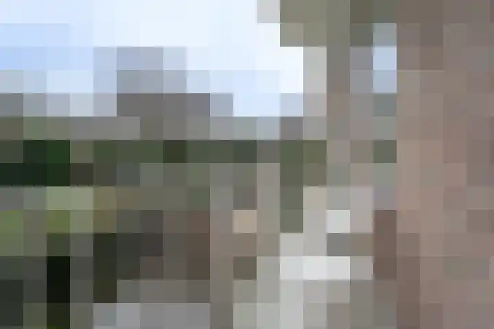 Graaf Hendrik III laan 67 Breda thumbnail 20