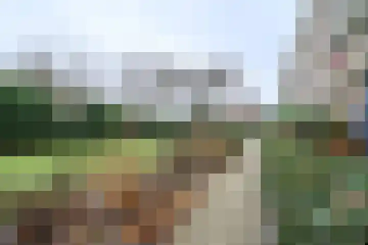 Graaf Hendrik III laan 67 Breda thumbnail 22